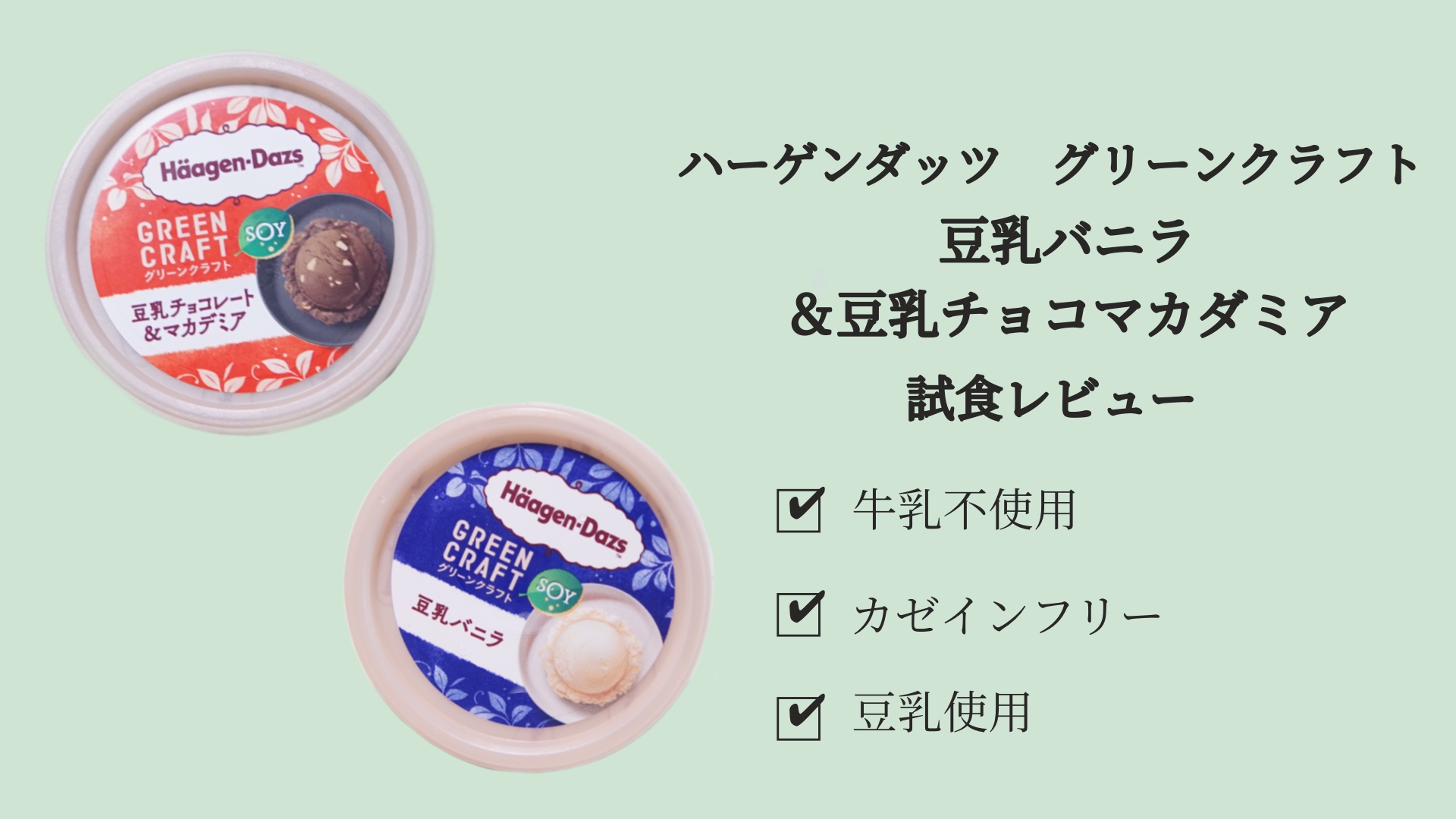 ハーゲンダッツグリーンクラフト豆乳バニラ＆豆乳チョコマカダミア